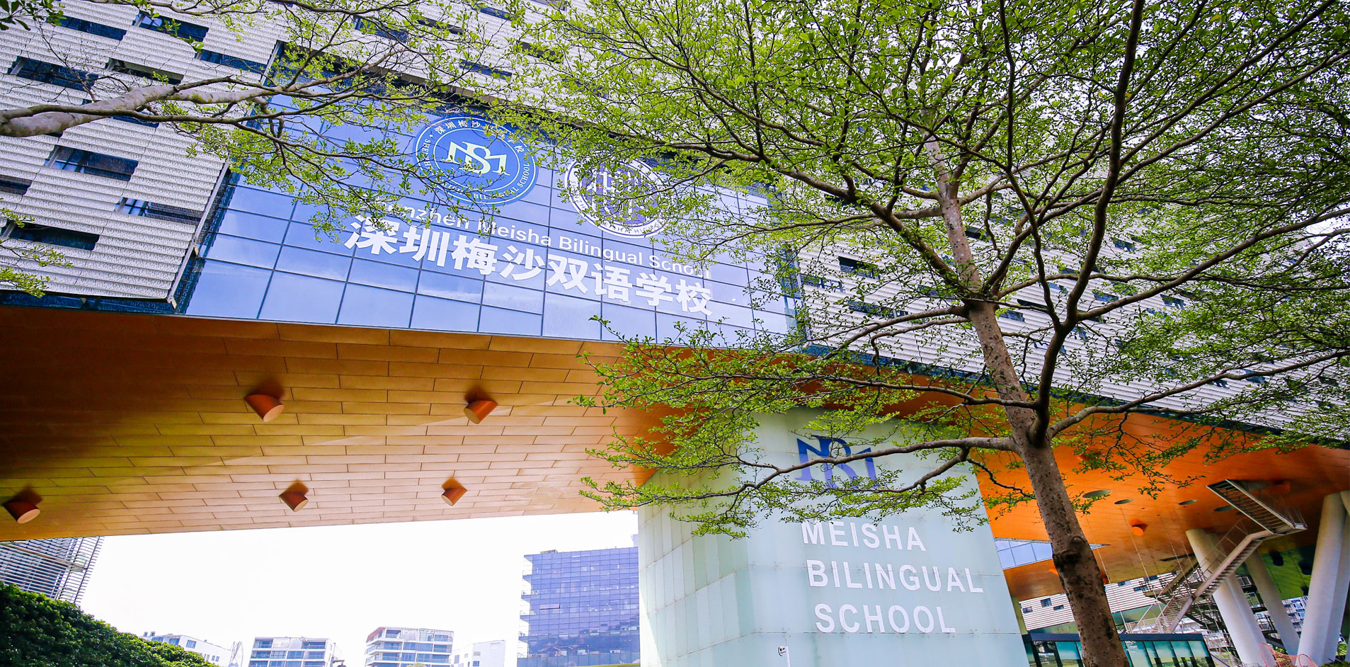 School Vision