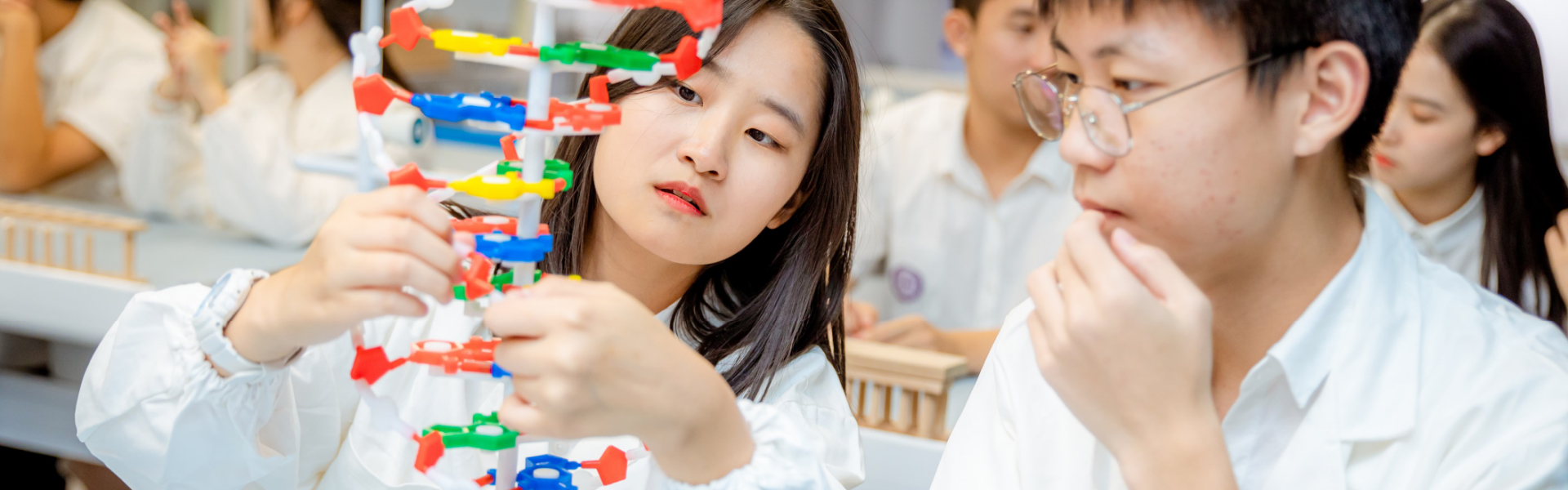 HIGH SCHOOL CURRICULUM