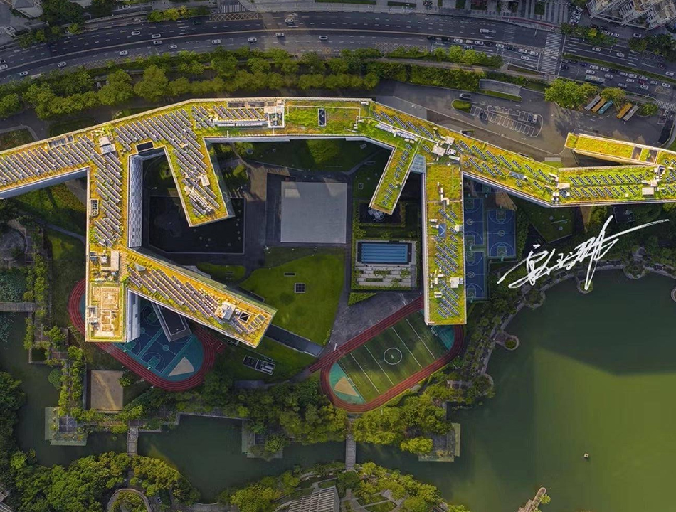 梅沙双语学校环境