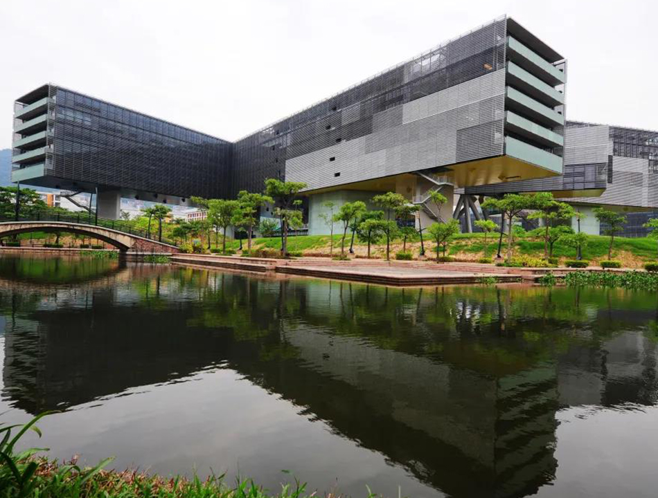 梅沙双语学校环境