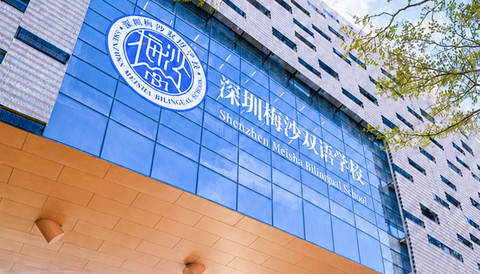 一个账号，看见更完整的梅双｜公众号整合说明